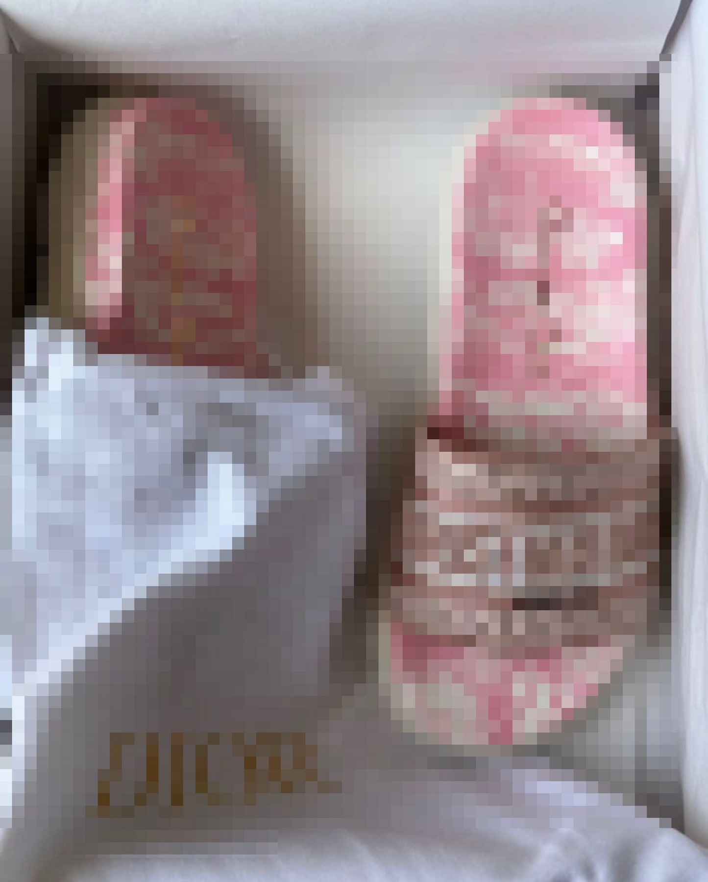 Pink Bior Sandals